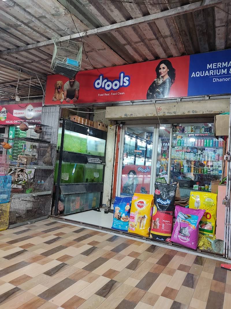 Mermaid pets shop