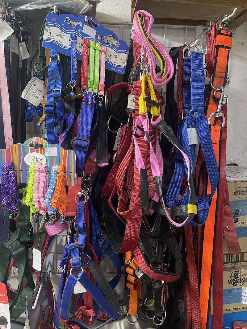 Mermaid pets shop