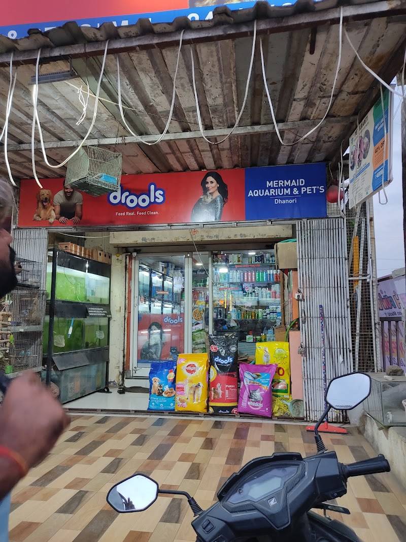 Mermaid pets shop