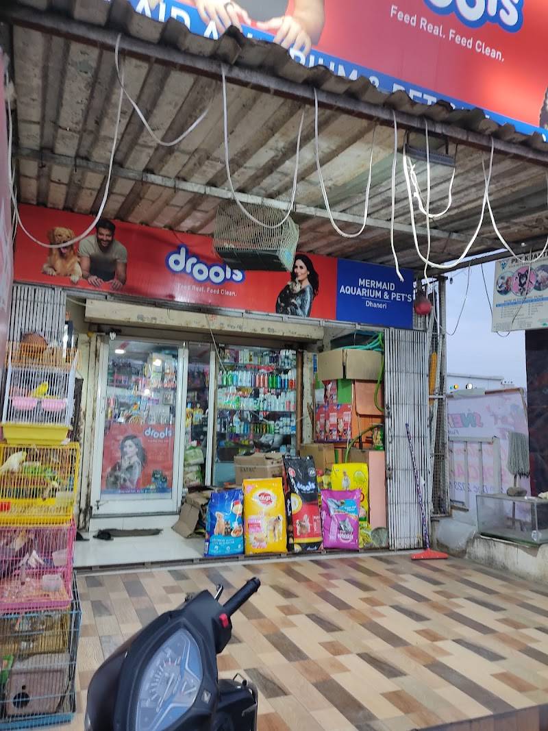 Mermaid pets shop