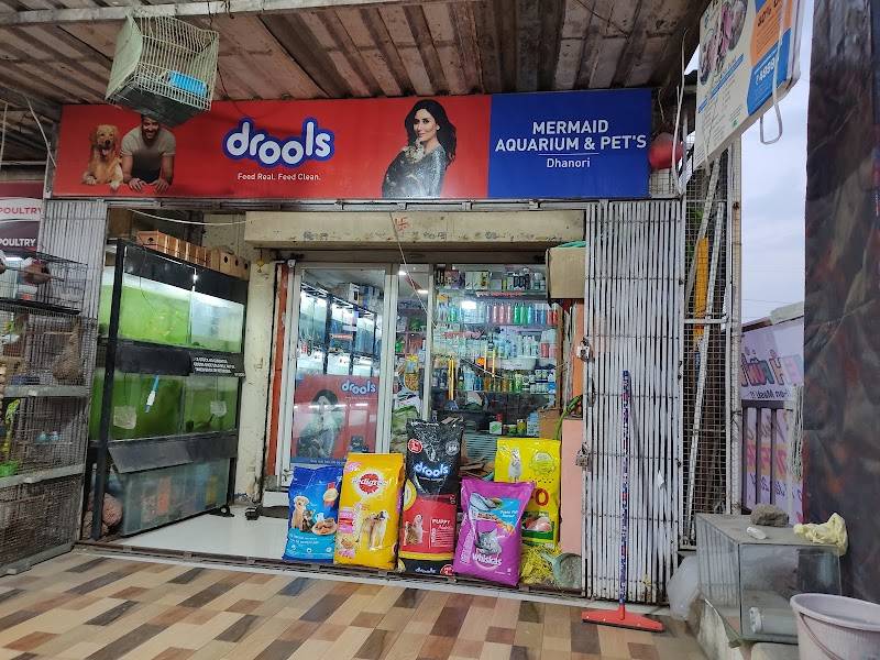 Mermaid pets shop